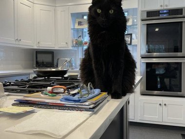 Кухня явно маловата для этого котика.