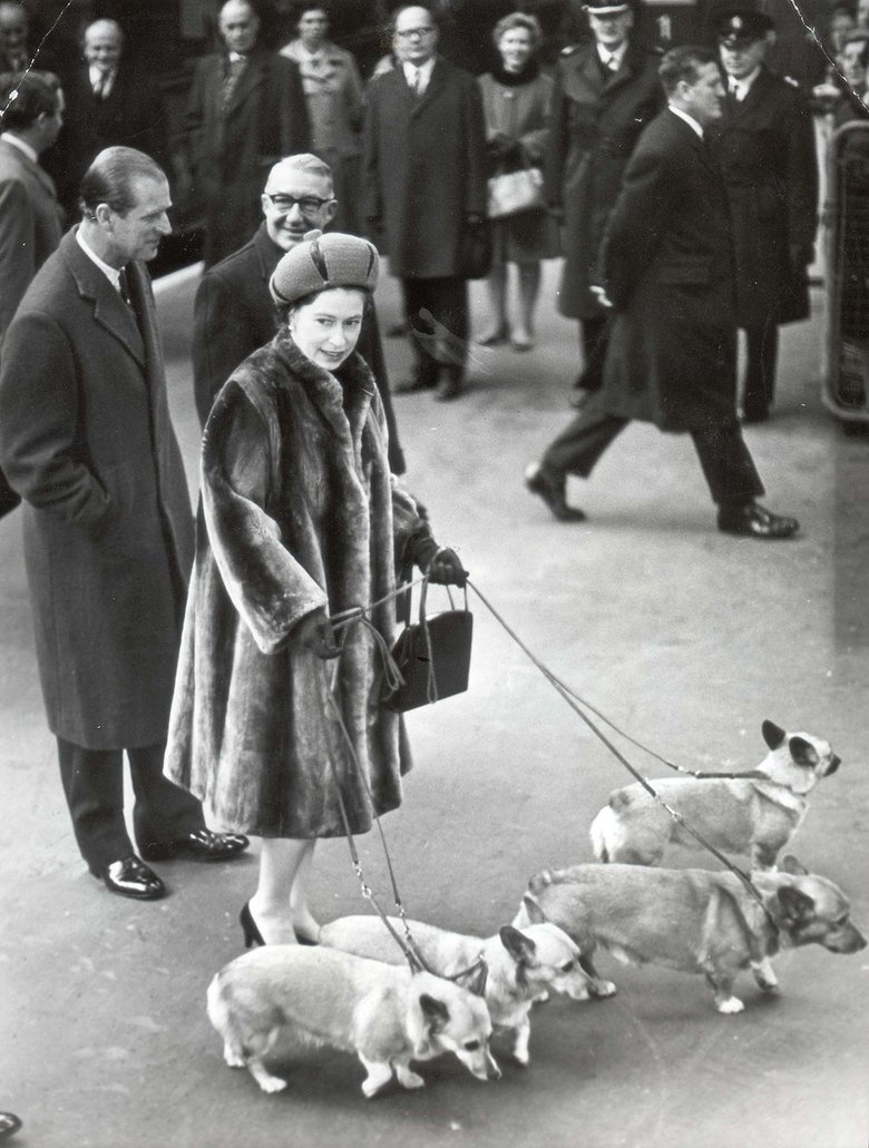 За всю жизнь у Елизаветы II было уже более 30 собак