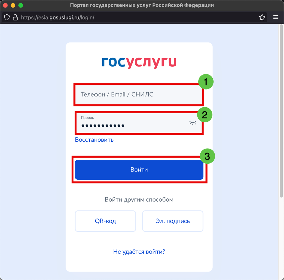 Скриншот окна для входа на сайт Госуслуги