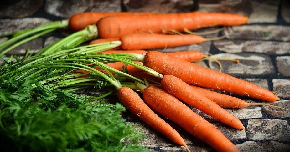 6 ошибок в хранении сезонного урожая, которые сведут на нет ваши усилия