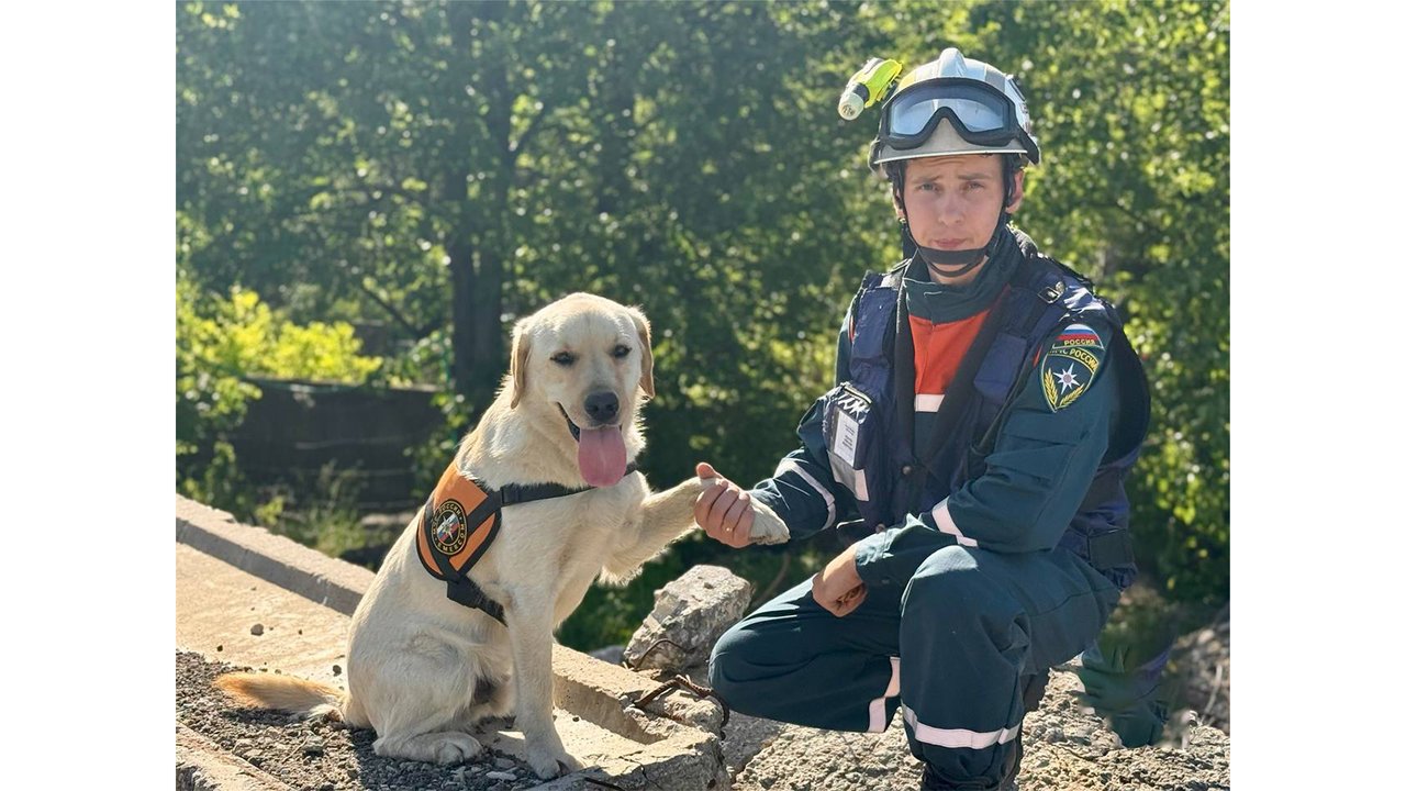 Собака и спасатель Собака и спасатель