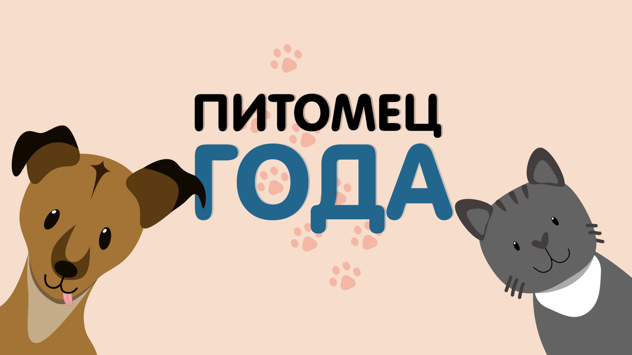Конкурс «Питомец года» Конкурс «Питомец года»