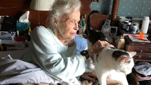 Семья взяла из приюта самого старого кота для 101-летней бабушки