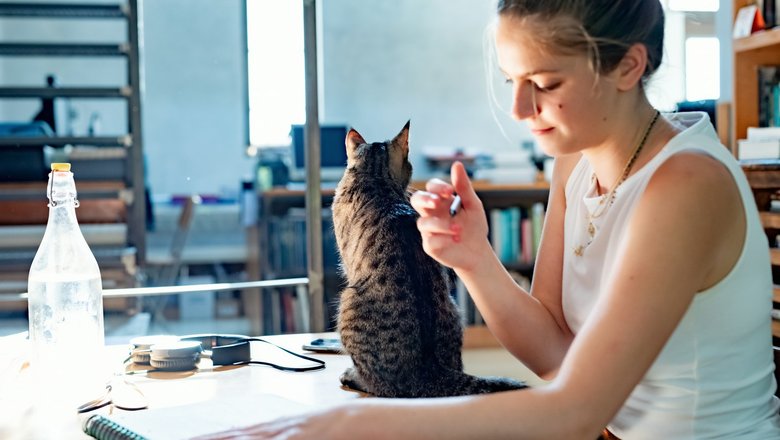 Женщина за столом с котом запоминает стихотворение. Женщина за столом с котом запоминает стихотворение.