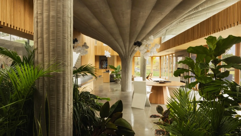 Комнатные растения дополняют интерьер из бетона и дерева. 