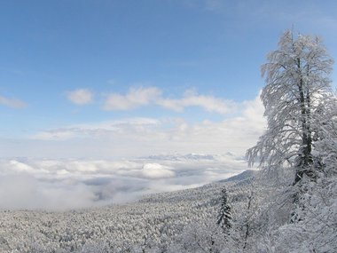 Кавказский Заповедник