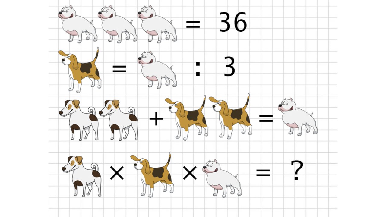 Только люди с высоким IQ решат этот пример с тремя неизвестными - Питомцы  Mail.ru