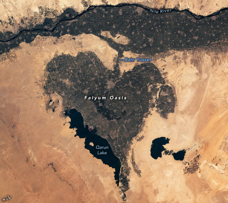 Оазис находится чуть ниже реки Нил (обозначена на этом изображении сверху). Фото: NASA