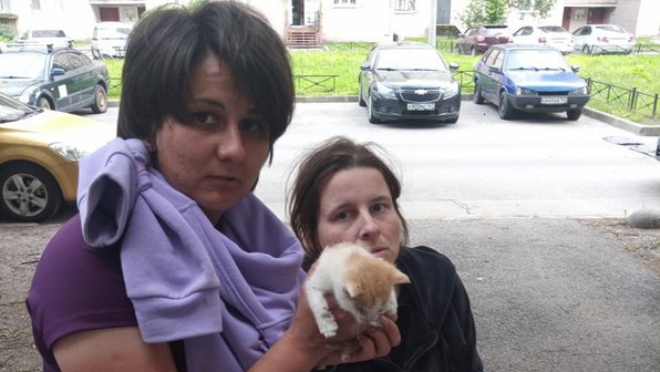 В Петербурге спасли котенка, застрявшего под решеткой пандуса