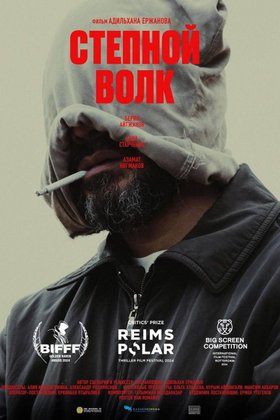 Степной волк: постер