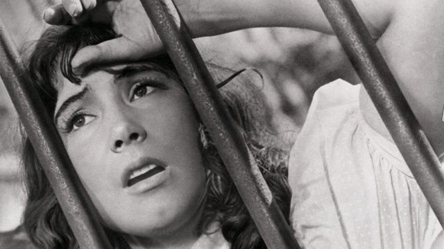 Летят журавли (1957) смотреть онлайн в хорошем HD качестве, отзывы, кадры  из фильма, актеры - «Кино Mail.ru»