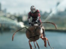 Кадр из фильма «Человек-муравей и Оса»