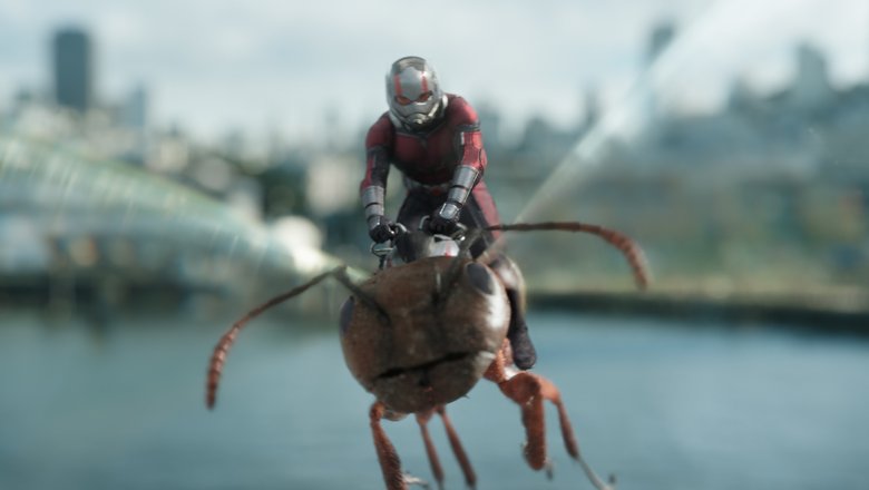 Кадр из фильма «Человек-муравей и Оса»