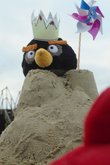 Кадр из сериала «Angry Birds. Сердитые птички на бегу»