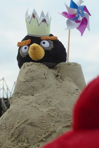 Кадр из сериала «Angry Birds. Сердитые птички на бегу»