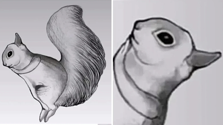 Белка и птица Белка и птица