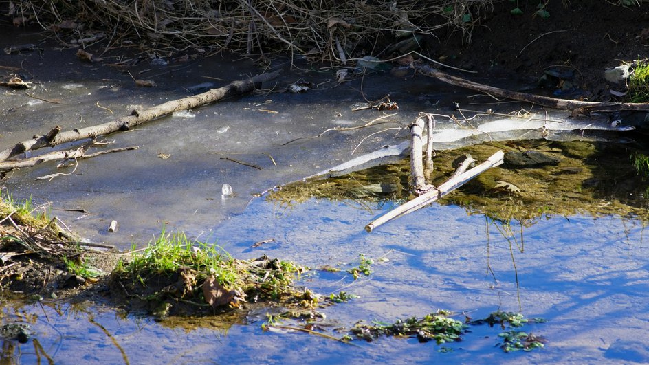 Водоем Водоем