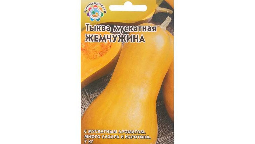 Семена тыквы «Жемчужина»