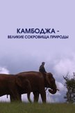 Постер undefined: 1 сезон
