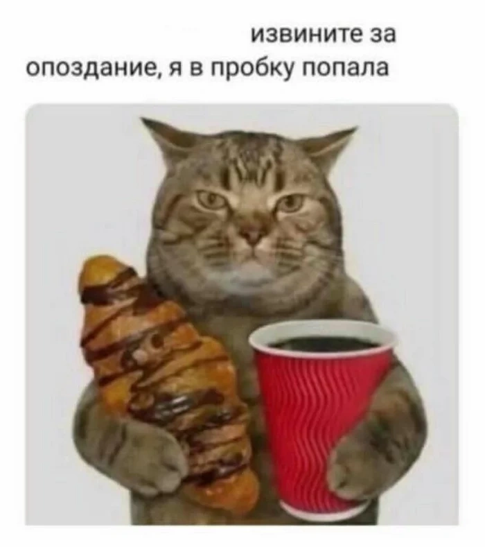 Кот держит в лапах круассан с шоколадной глазурью и красный бумажный стаканчик с напитком Кот держит в лапах круассан с шоколадной глазурью и красный бумажный стаканчик с напитком