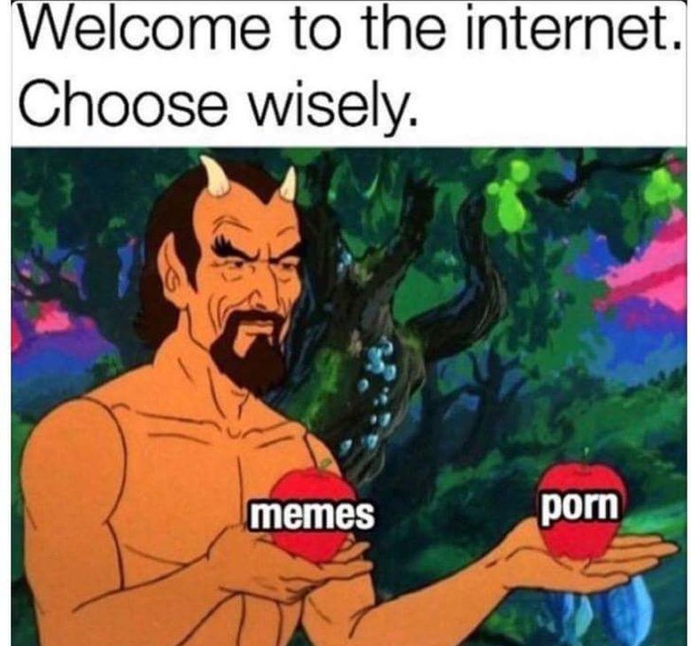 Добро пожаловать в интернет. Выбирайте — мемы или порно? Фото: Reddit