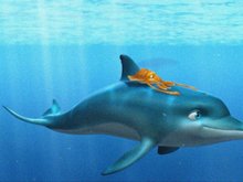 Кадр из Дельфин: История мечтателя