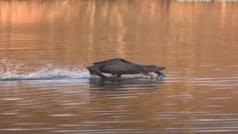 HydraJet на воде HydraJet на воде