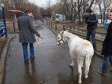 Тараканы - То, что не убивает тебя » Слова и тексты песен, переводы песен