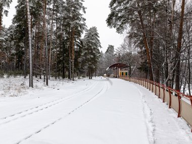 slide image for gallery: 23983 | Депо