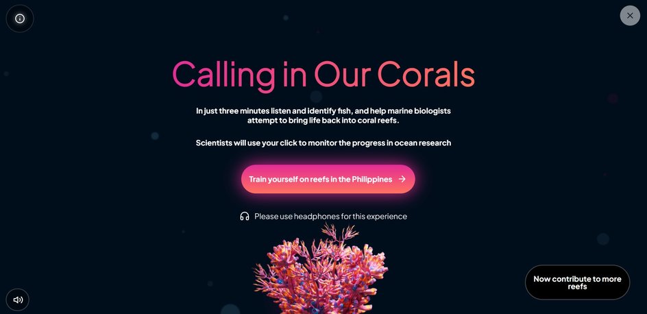 Сайт проекта Calling in Our Corals