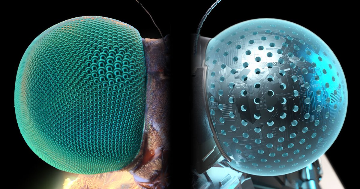 Ученые создали искусственные глаза насекомых