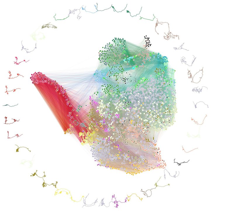 Нейроны представлены в виде точек. Линии изображают связи между нейронами. Граница рисунка показывает примеры морфологии нейронов. Фото: Johns Hopkins University/University of Cambridge
