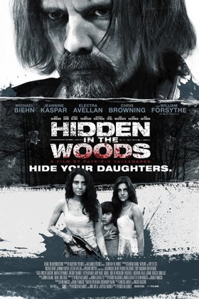 Спрятанный в лесу: постер