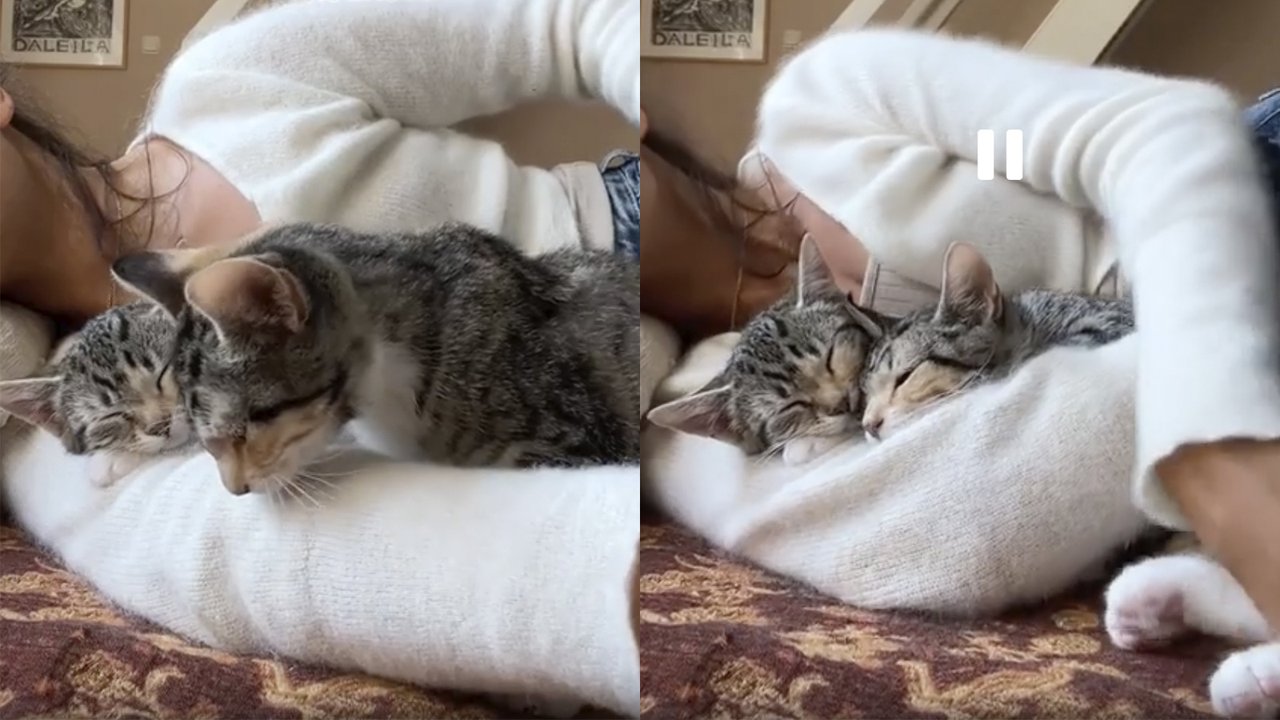 Две сестры Две сестры
