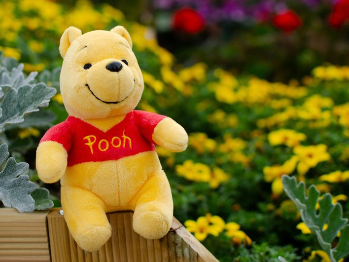 Winnie-the-Pooh