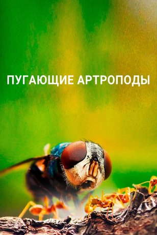 Постер шоу «Пугающие артроподы»