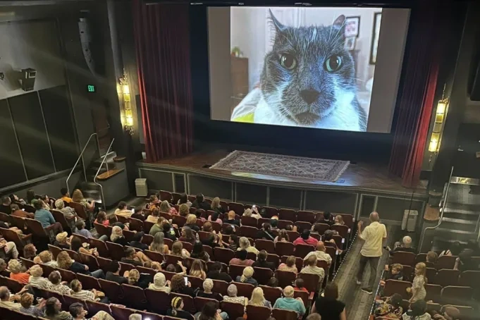 Cat Video Fest