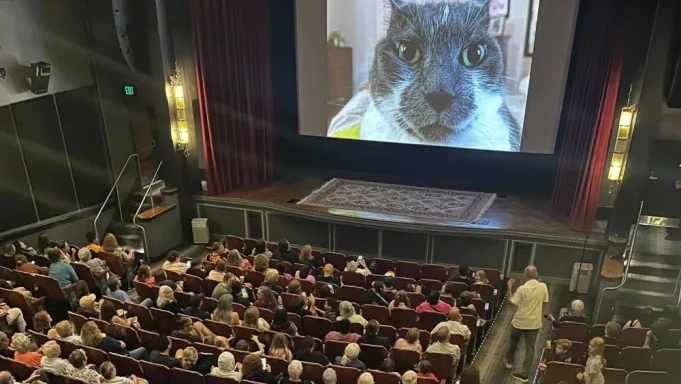 Cat Video Fest