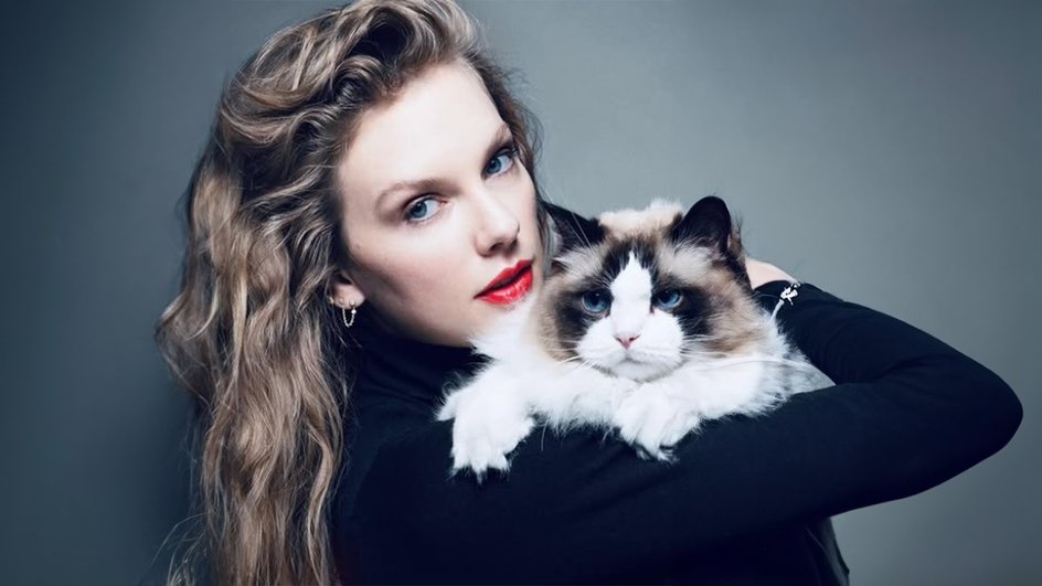 Тейлор Свифт с кошкой. Тейлор Свифт с кошкой.