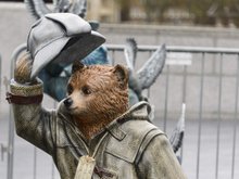 Медведь Паддингтон, созданный Бенедиктом Камбербэтчем Медведь Паддингтон, созданный Бенедиктом Камбербэтчем