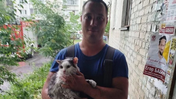 В Челябинске пожарные вернули к жизни двух котов