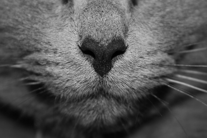 51b56dd17ac84eebdb58448b37af59f4.jpg