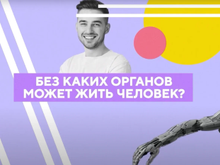 Кадр из Хочу все знать!