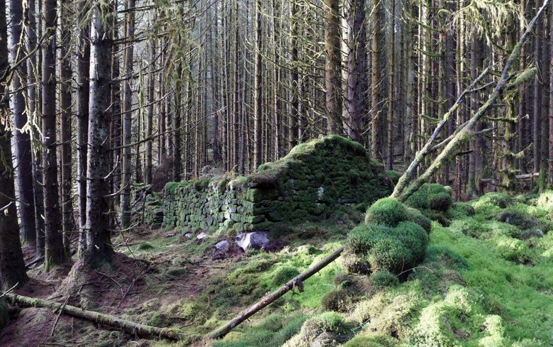 Одно из зданий. Фото: Forest and Land Scotland