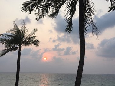 Slide image for gallery: 4956 | Комментарий «Леди Mail.Ru»: в объектив Кудрявцевой попали и тайские пальмы на фоне заката
