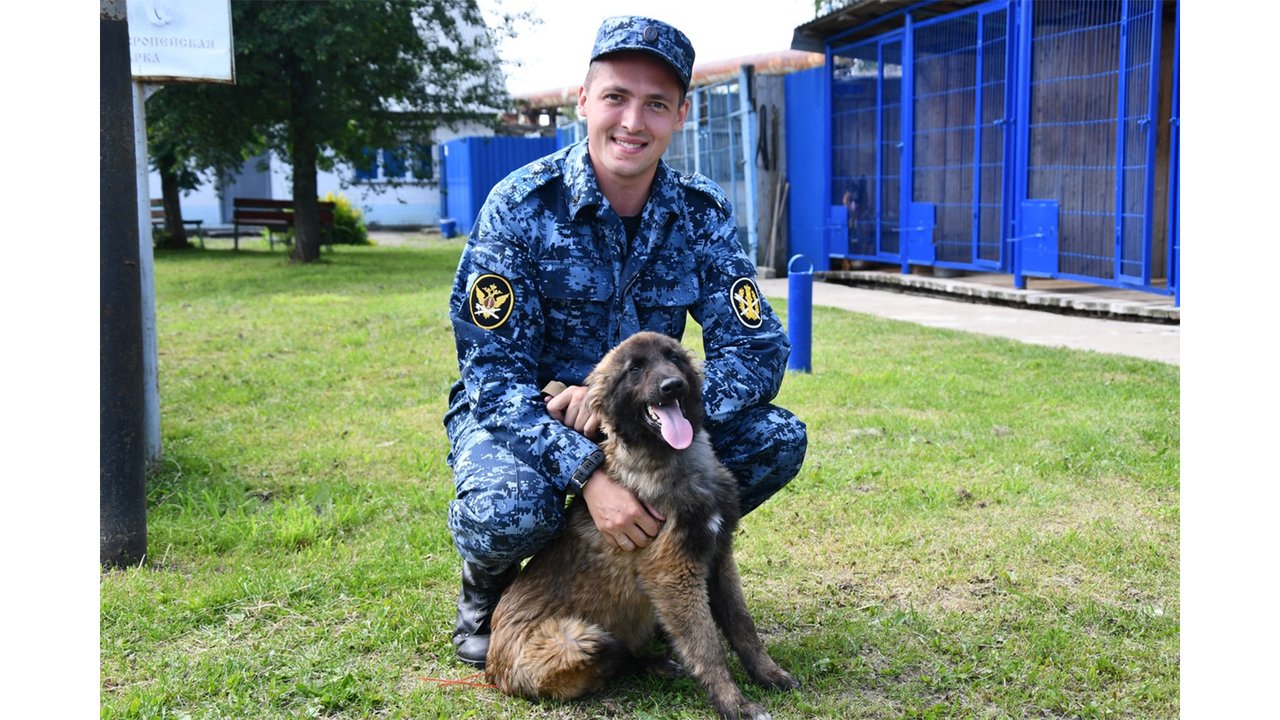 Щенок бельгийской овчарки в колонии Щенок бельгийской овчарки в колонии
