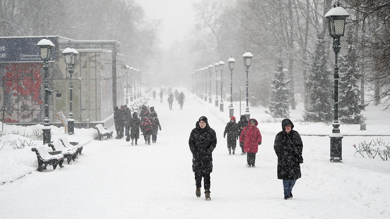 Около 25% месячной нормы осадков выпадет в Москве в четверг и пятницу -  Погода Mail.ru