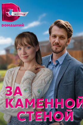 За каменной стеной: постер