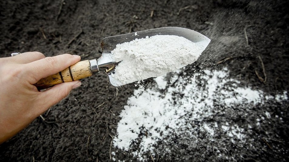 Ruka drží nad zemí lopatu s jedlou sodou