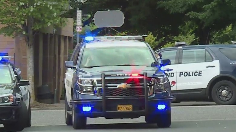 Пушка LRAD полиции Портленда в США. Фото: скришот из видео с youtube-канала KOIN 6